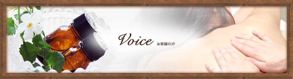 Voice